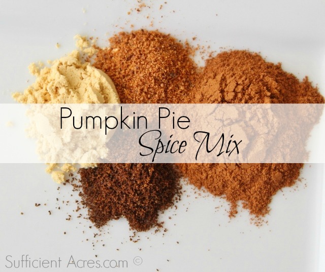 Homemade Pumpkin Pie Spice Mix