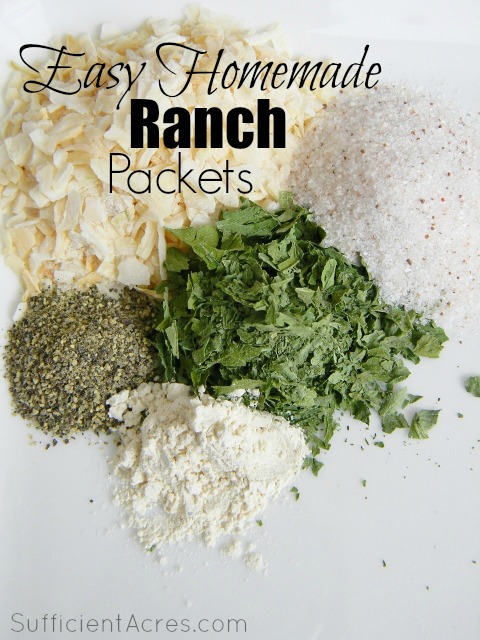 Easy Homemade Ranch Packets