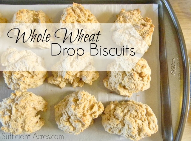 Whole Wheat Drop Biscuits