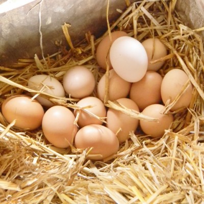 Our Week In Photos – March 11th 2016