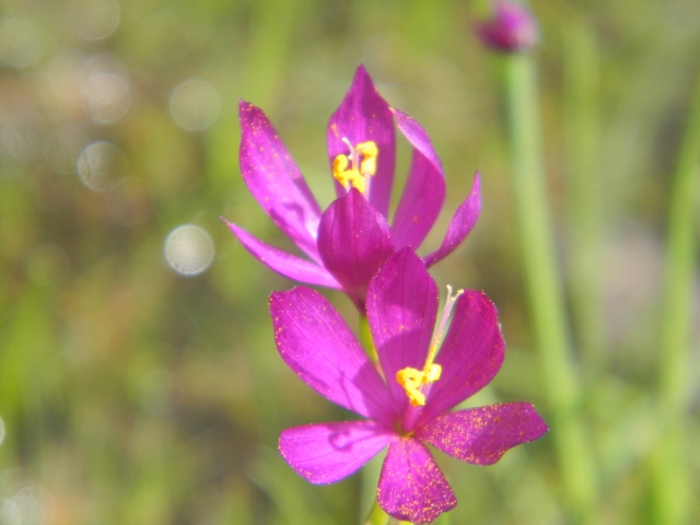 Our Week In Photos – March 18th 2016