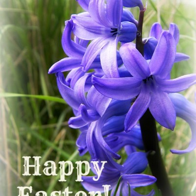 Our Week In Photos – March 25th 2016