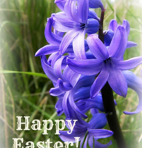 Our Week In Photos – March 25th 2016