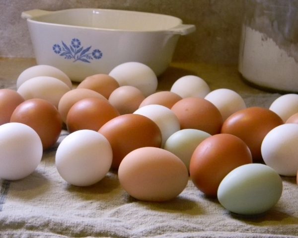 Tips for Gathering, Washing and Storing Farm Fresh Eggs