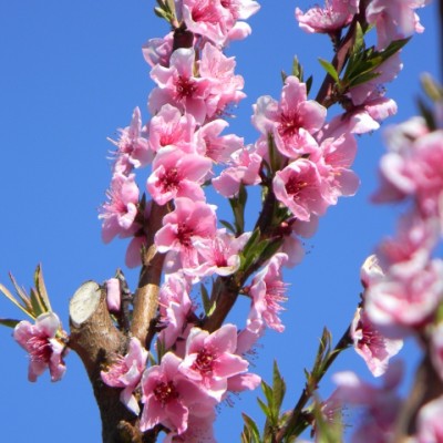 Our Week In Photos – April 1st 2016