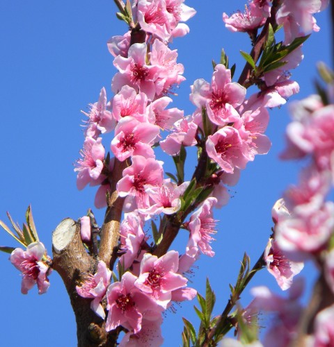 Our Week In Photos – April 1st 2016