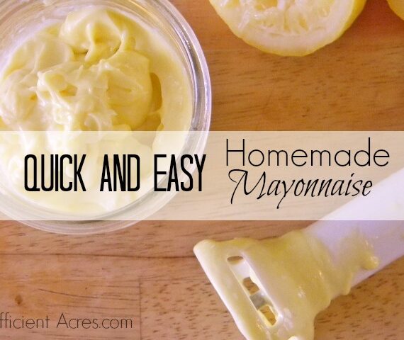 Homemade Mayonnaise (our first vlog)