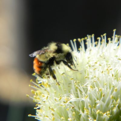 Our Week In Photos – May 6th 2016