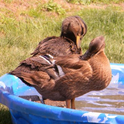 Our Week In Photos – May 13th 2016