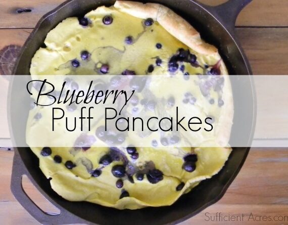 Blueberry Puff Pancakes (With a Gluten Free Version)