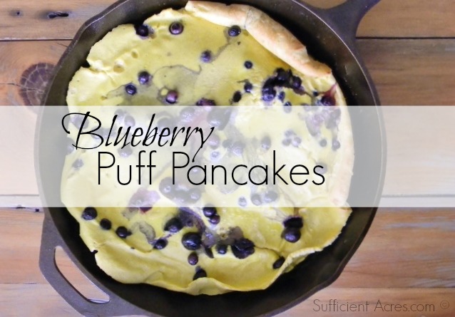 blueberry puff pancakes