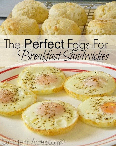 perfect eggs