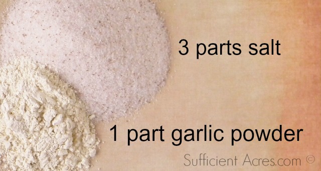 salt and garlic powder