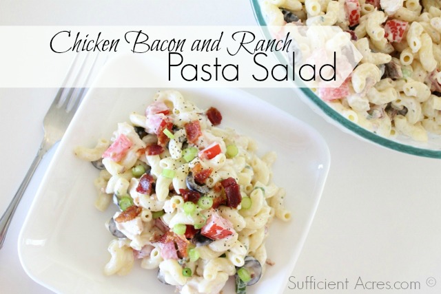 Chicken bacon and ranch pasta salad