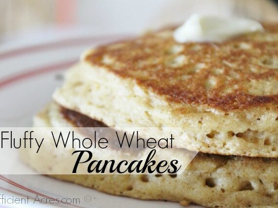 Fluffy Whole Wheat Pancakes