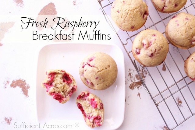 Fresh Raspberry Breakfast muffins