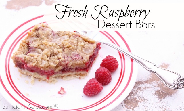 Fresh raspberry dessert bars