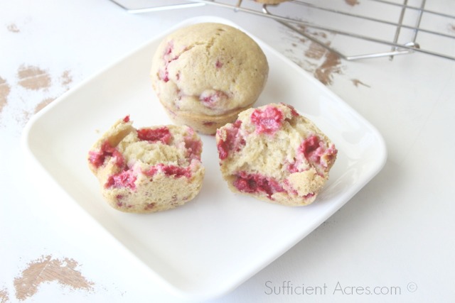 Muffins raspberry