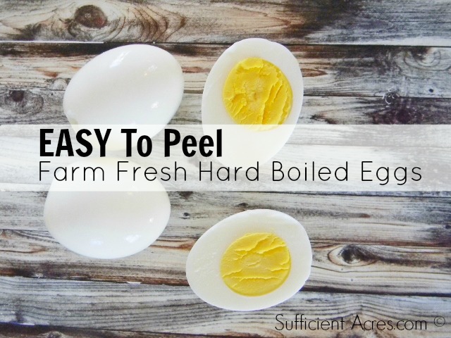 easy to peel farm fresh eggs
