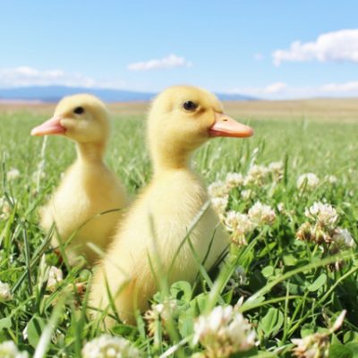 Our Week In Photos – July 22nd 2016