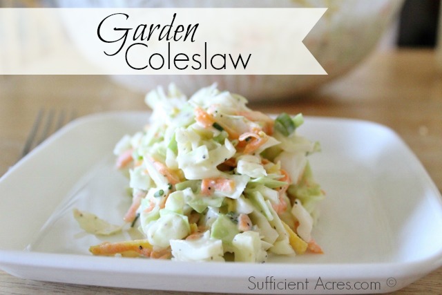 garden coleslaw