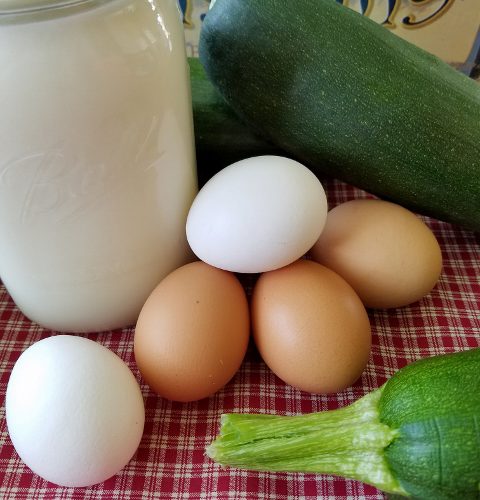 City Cousin Comes To Visit