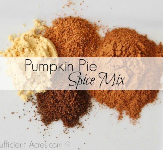 Homemade Pumpkin Pie Spice Mix