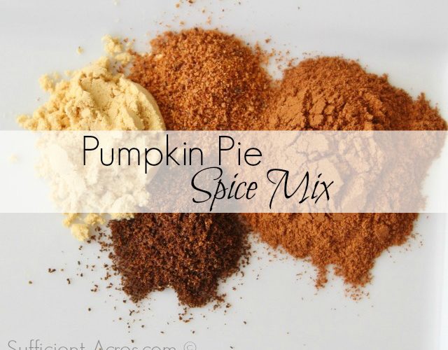 Homemade Pumpkin Pie Spice Mix