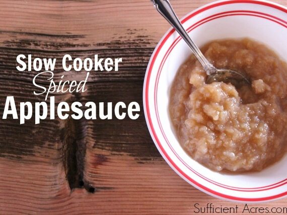 Easy Slow Cooker Spiced Applesauce