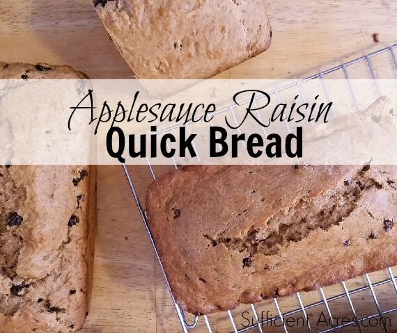 Applesauce Raisin Quick Bread
