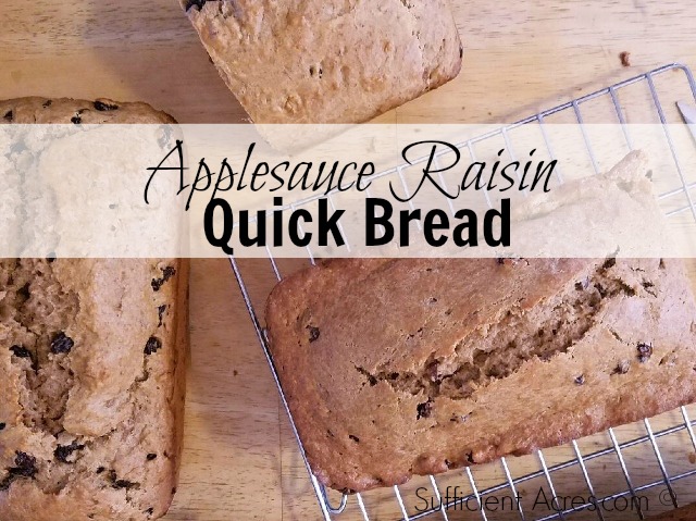 applesauce-raisin-bread