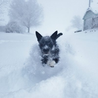 Our Winter In Photos – January and February 2017