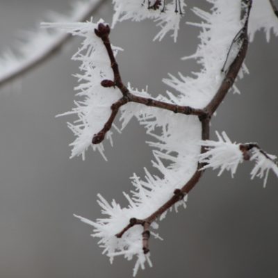 Our Month Of Photos – January 31st 2018