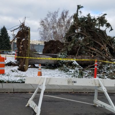 Our Month In Photos – February 28th 2018