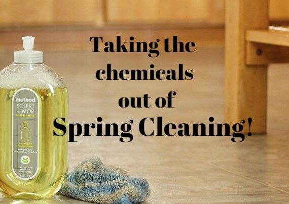 The Spring Cleaning Bug